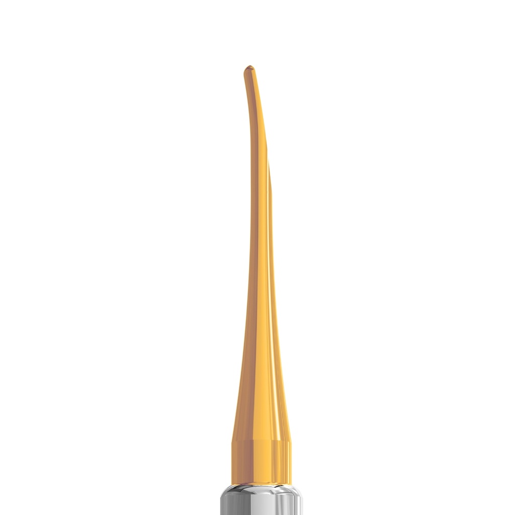Luxating Elevator Gold, Curved, 3mm — Classic Handle | ErgoDenta
