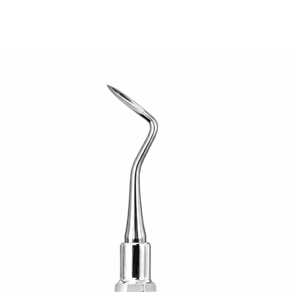 Apical Root Elevator, Fig. 303 | ErgoDenta