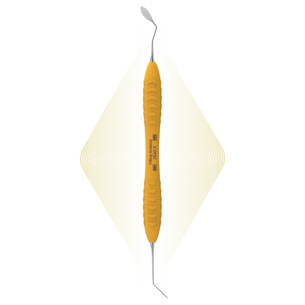 Filling Anterior