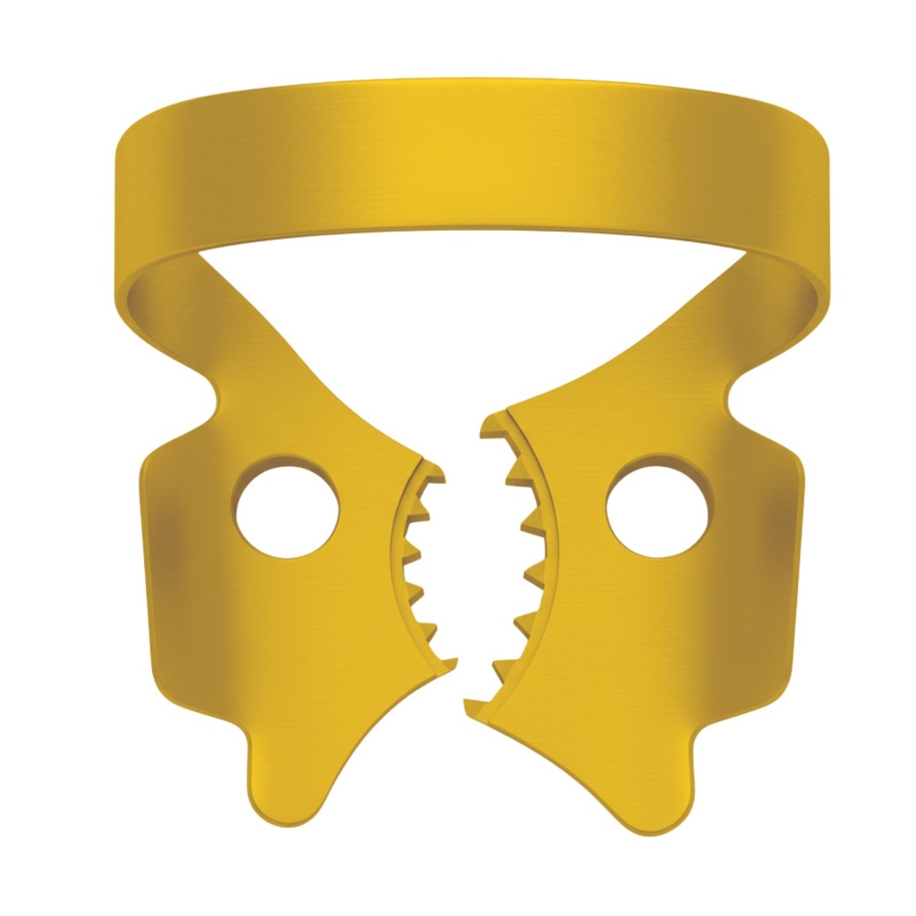 13A - Lower molar rubber dam clamps