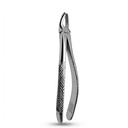 Upper Molars, Right