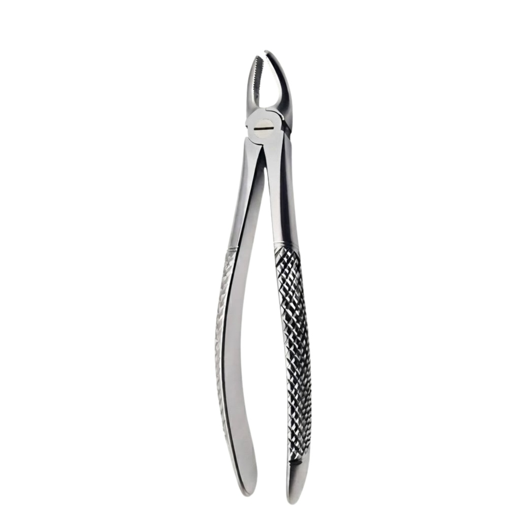 Upper Molars, Left