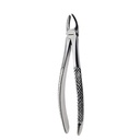 Upper Molars, Left