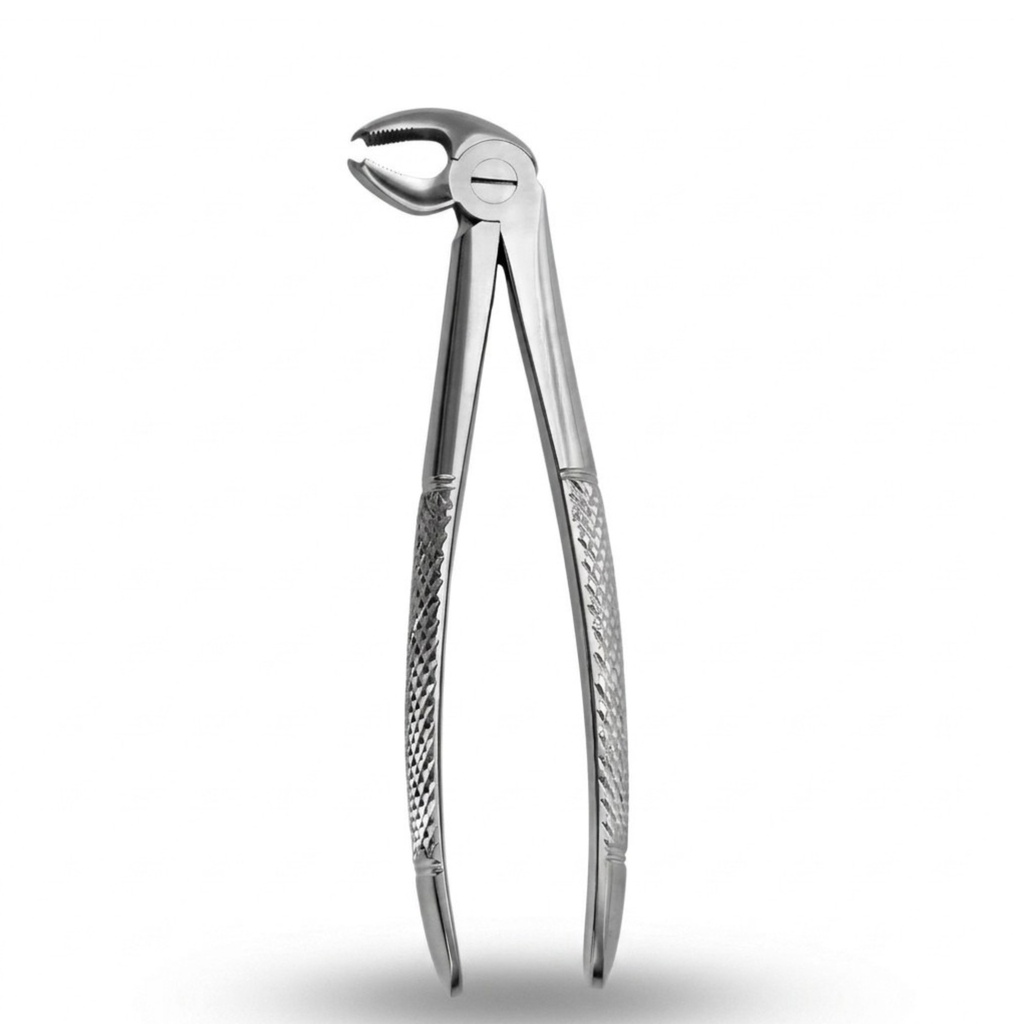 Lower Molars
