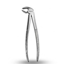 Lower Molars