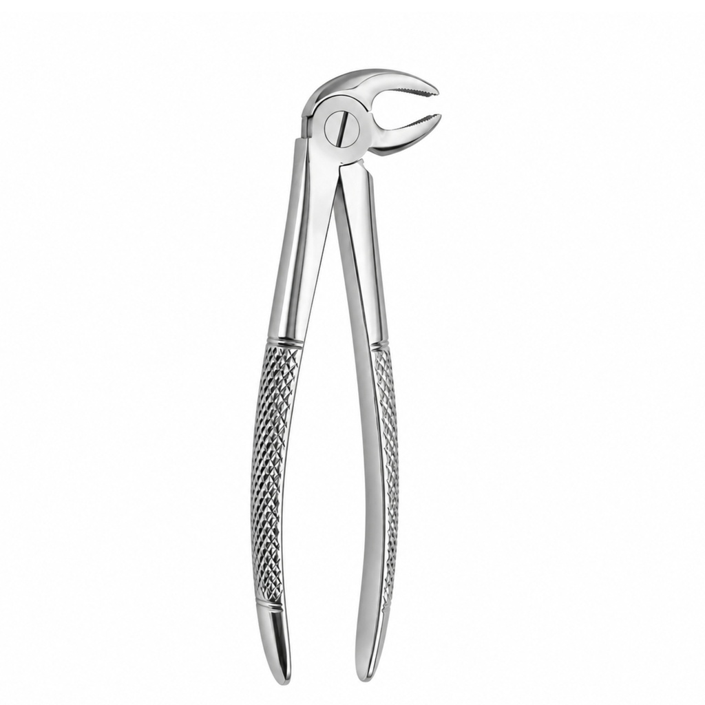 Lower Molars, Right