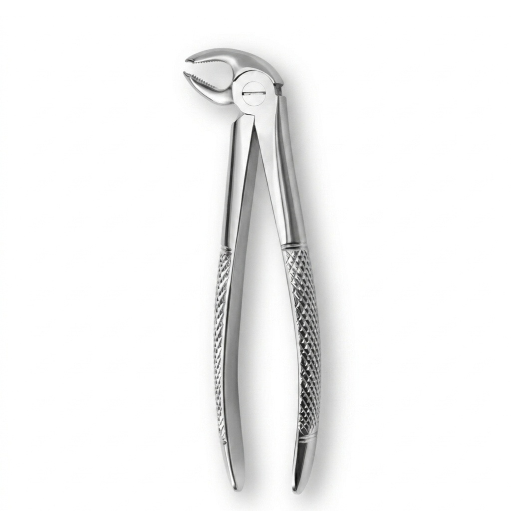 Lower Molars, Left