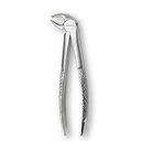 Lower Molars, Left