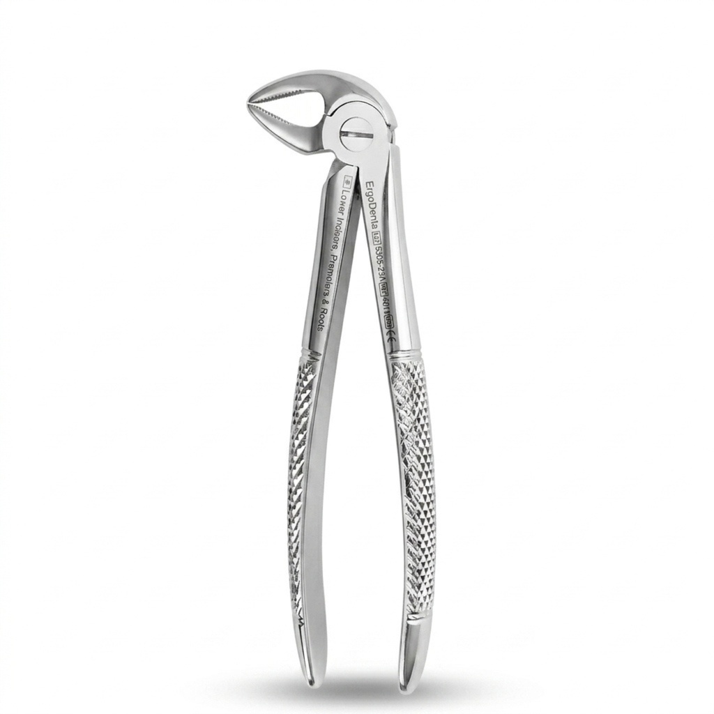 Lower Incisors, Premolars and Roots