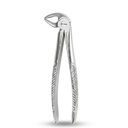 Lower Incisors, Premolars and Roots