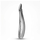 Upper Premolars