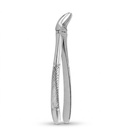 Lower Molars