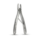 Fig. 137, Upper Incisors