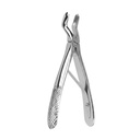 Fig. 3 Upper Molars