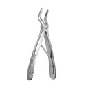 Fig. 51S, Upper Roots