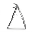 Fig. 6, Lower Molars
