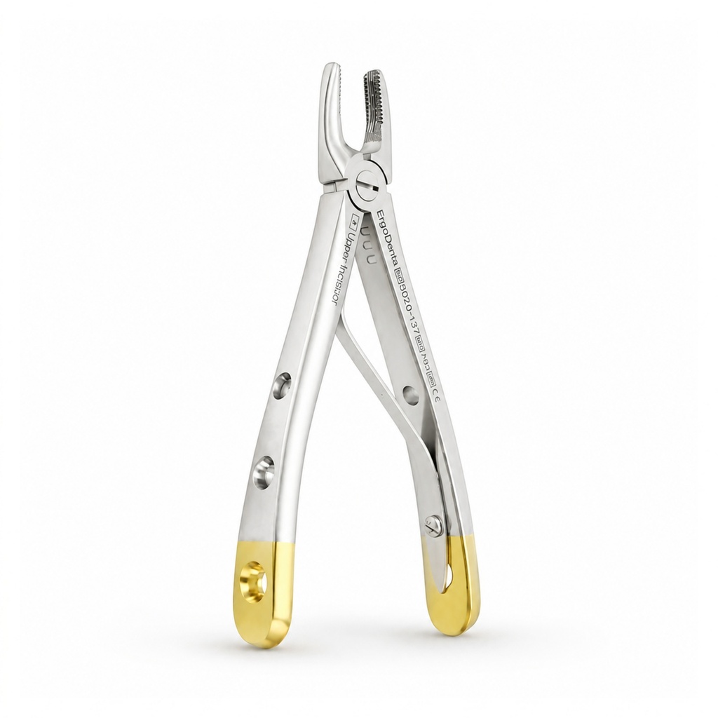 Fig. 137, Upper Incisors
