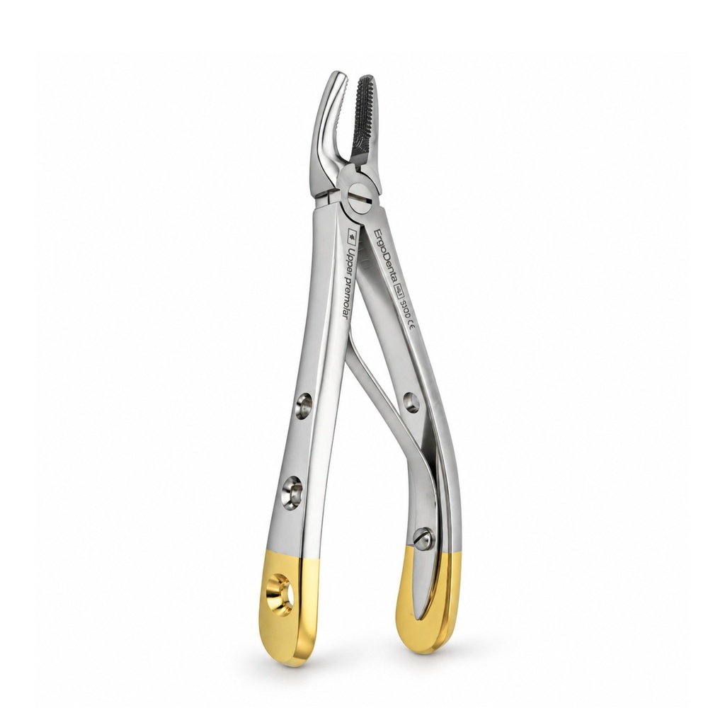 Fig. 139, Upper Premolars