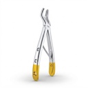 Fig. 3 Upper Molars