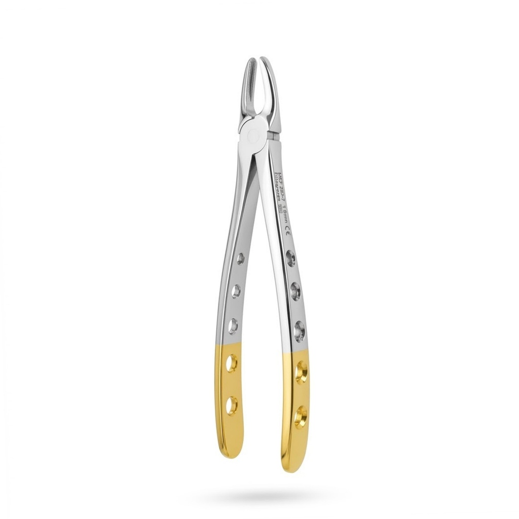 Upper Incisors and Molars