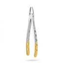 Upper Incisors and Molars