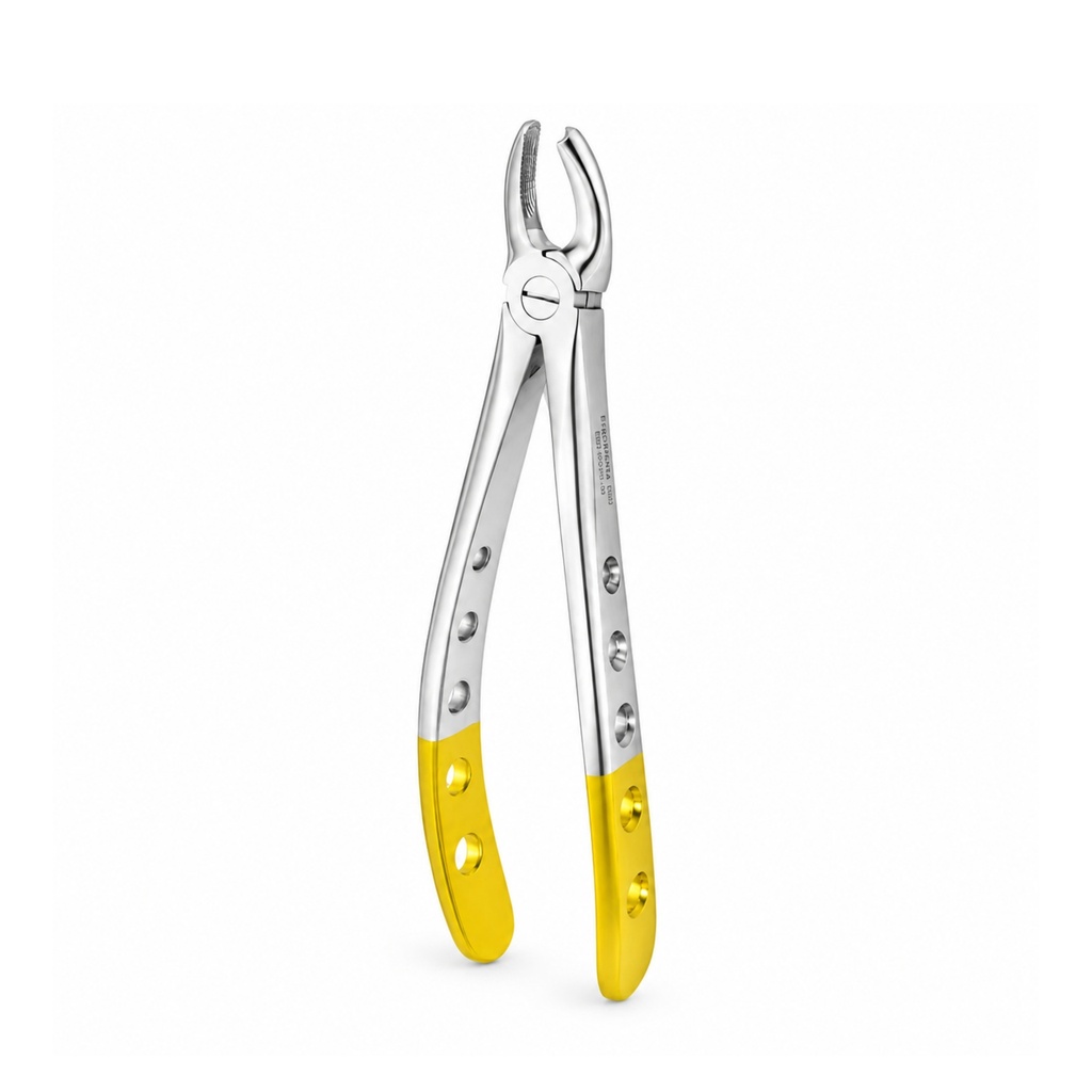 Upper Molars, Left