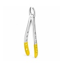 Upper Molars, Left