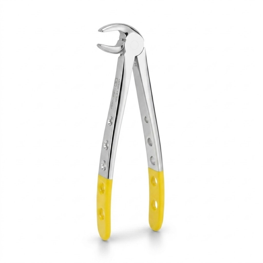 Lower Molars