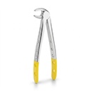 Lower Molars