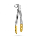 Lower Incisors, Premolars and Roots