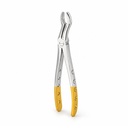 Upper Molars for Upper Wisdom Teeth