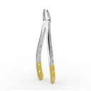 Upper Premolars