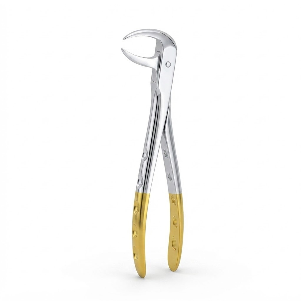 Lower Molars