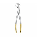Lower Molars