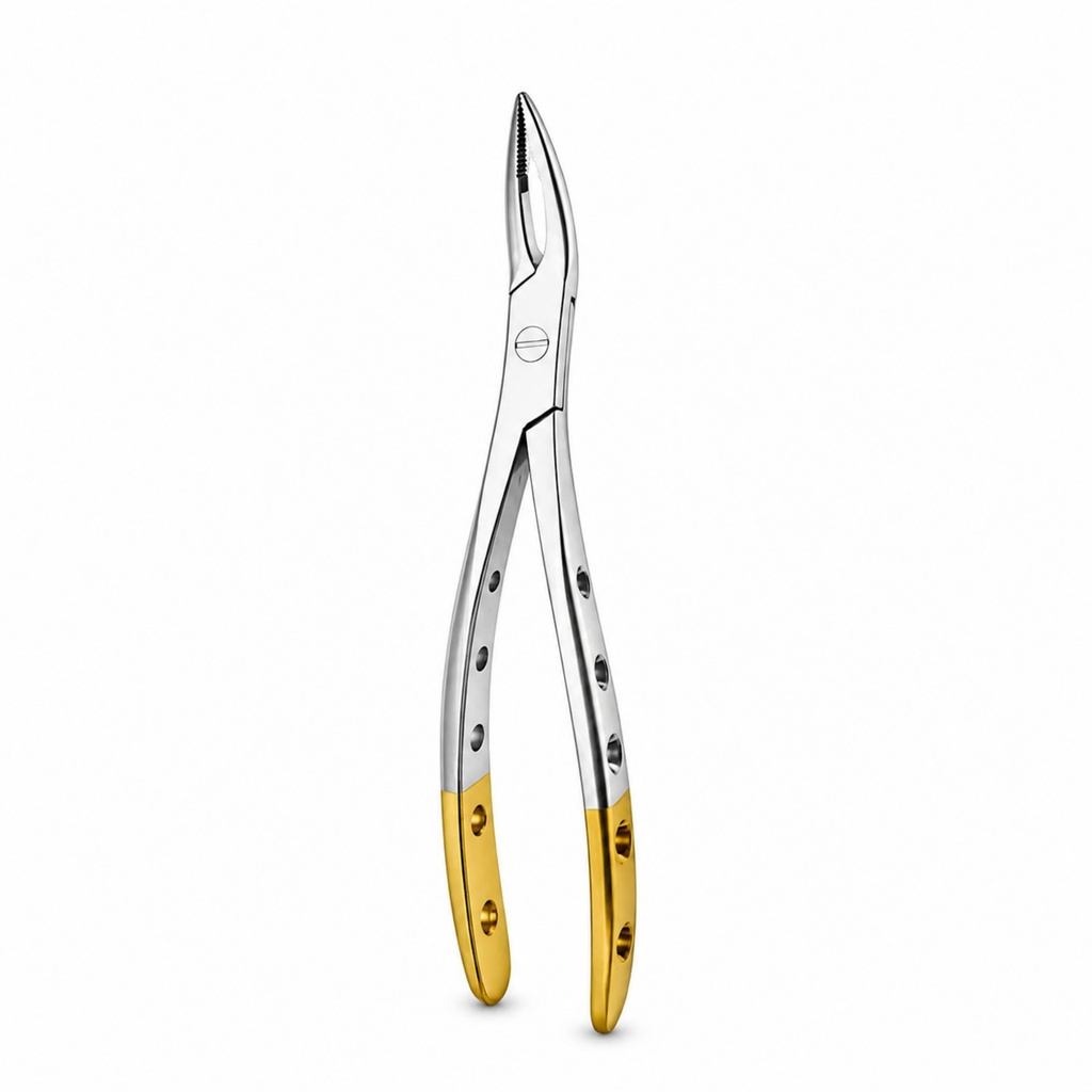 Witzel (Upper Roots)
