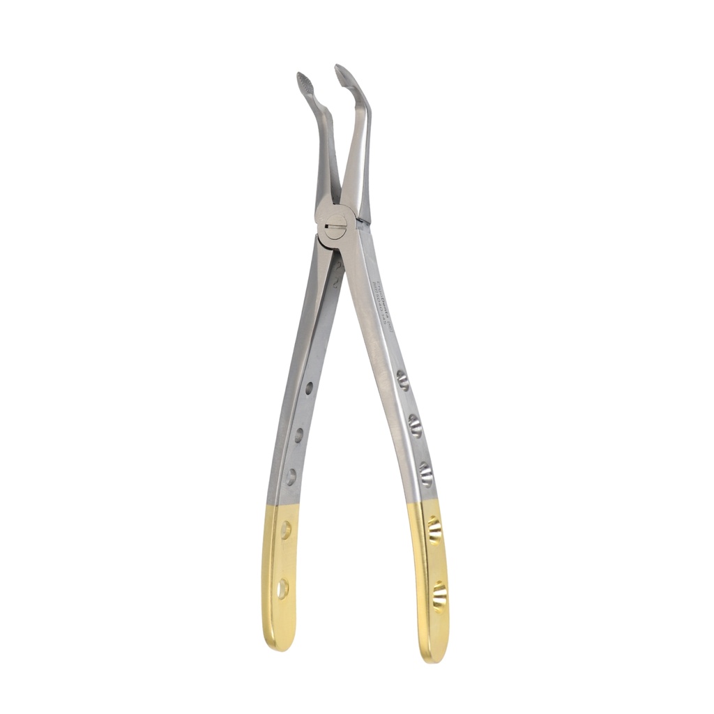 Lower Spade Root