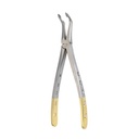 Lower Spade Root
