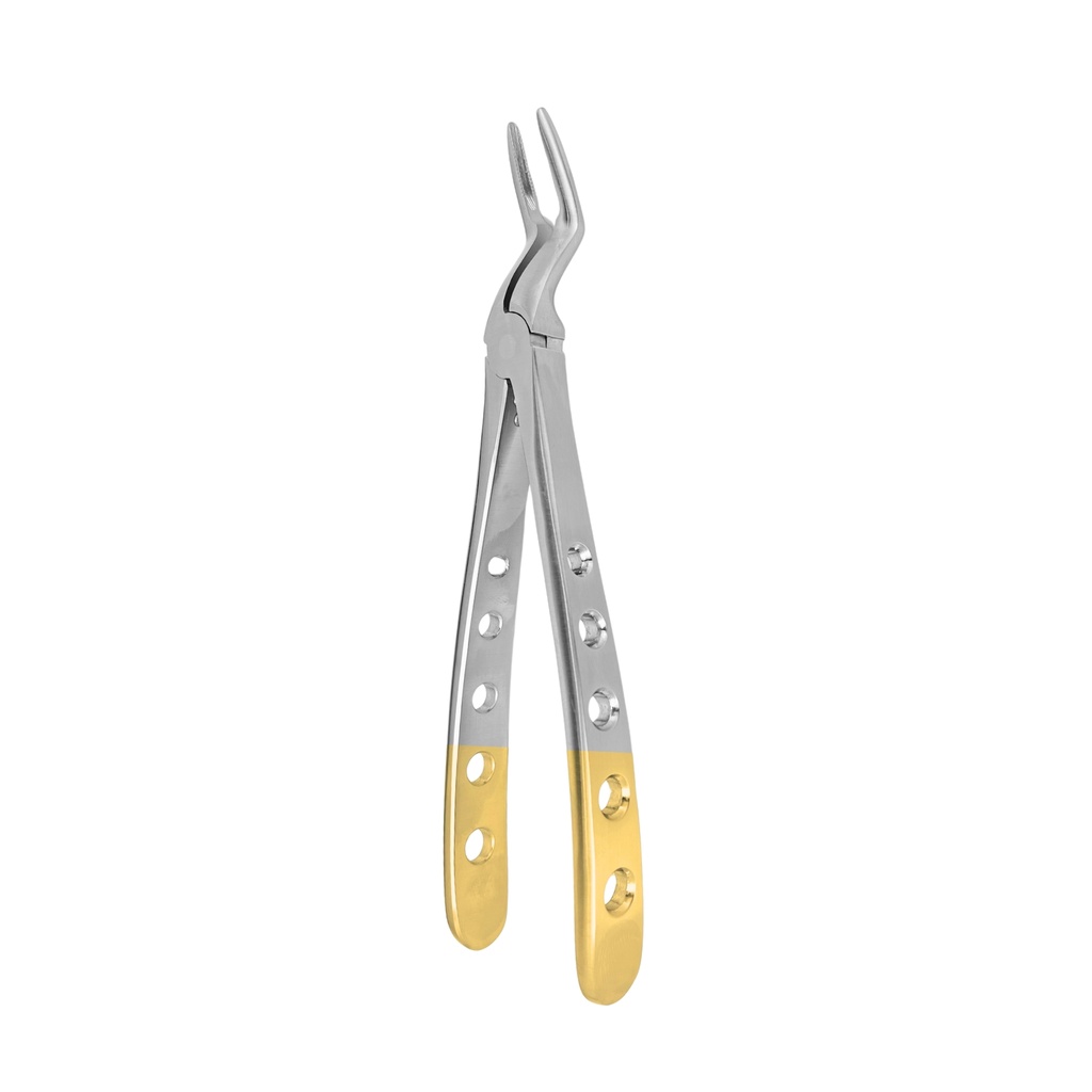 Lower Molar