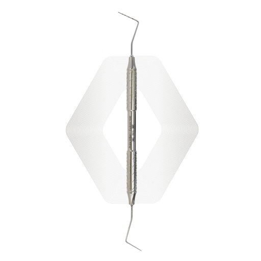 Probe William + Explorer Holst