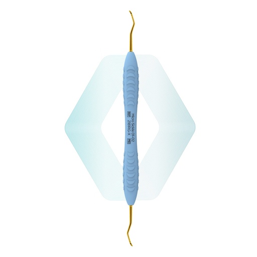 [2181RG-X] Micro Sickle Scaler 01-02