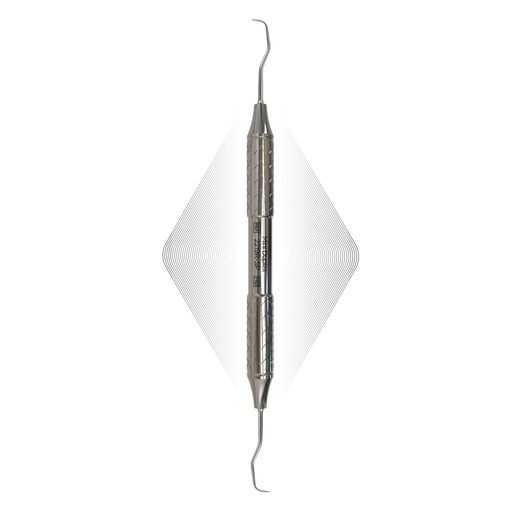 [2219R-SP] Duplex Anterior