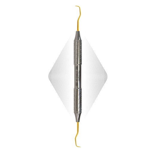 [2219RG-SP] Duplex Anterior