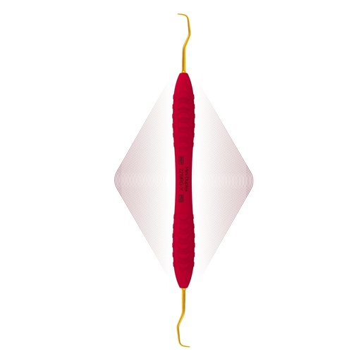 [2219RG-X] Duplex Anterior