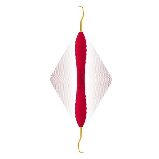 [2219RG-XP] Duplex Anterior