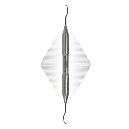 [2219RK-SP] Duplex Anterior