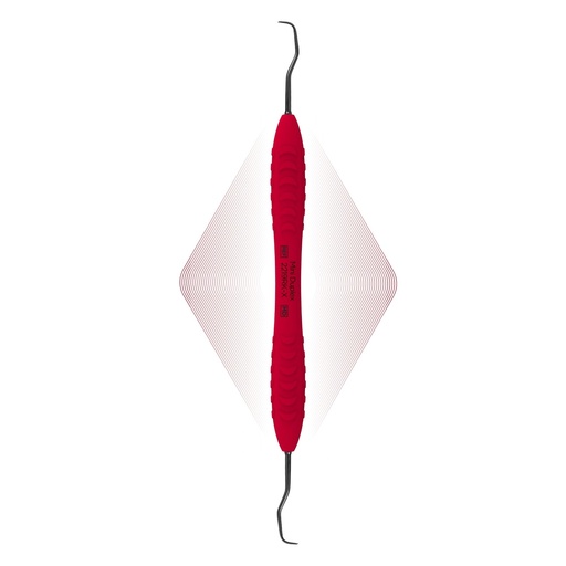 [2219RK-X] Duplex Anterior