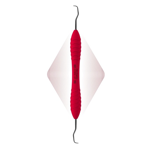 [2219RK-XP] Duplex Anterior
