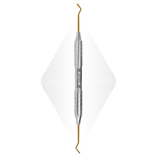 [2513G-SP] Burnisher, Gold