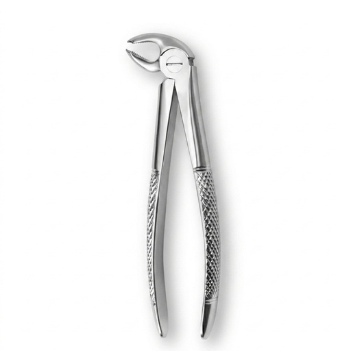 [5005-24] Lower Molars, Left