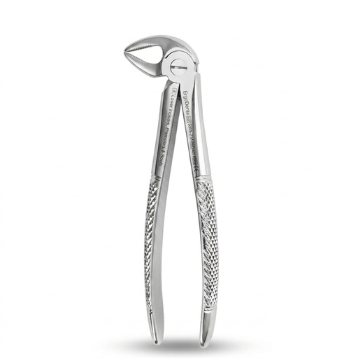 [5005-33A] Lower Incisors, Premolars and Roots